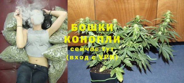 мет Аркадак
